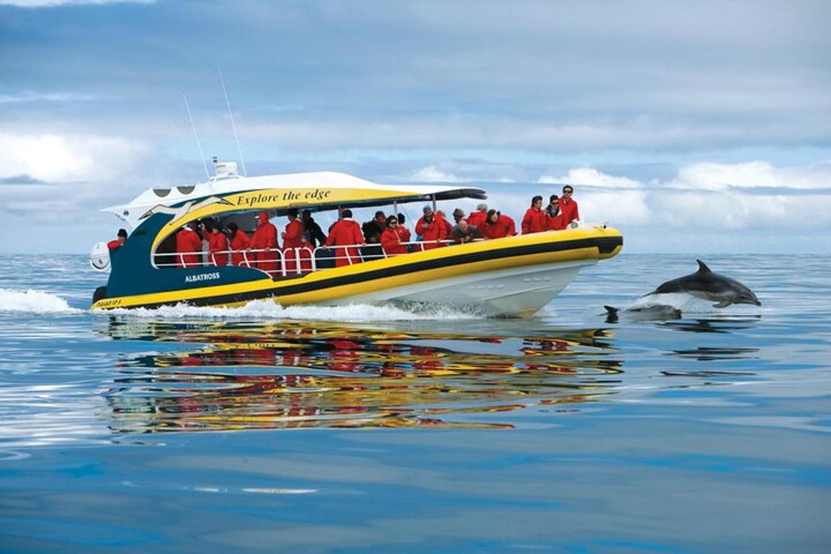 un gruppo di persone su una barca con un delfino