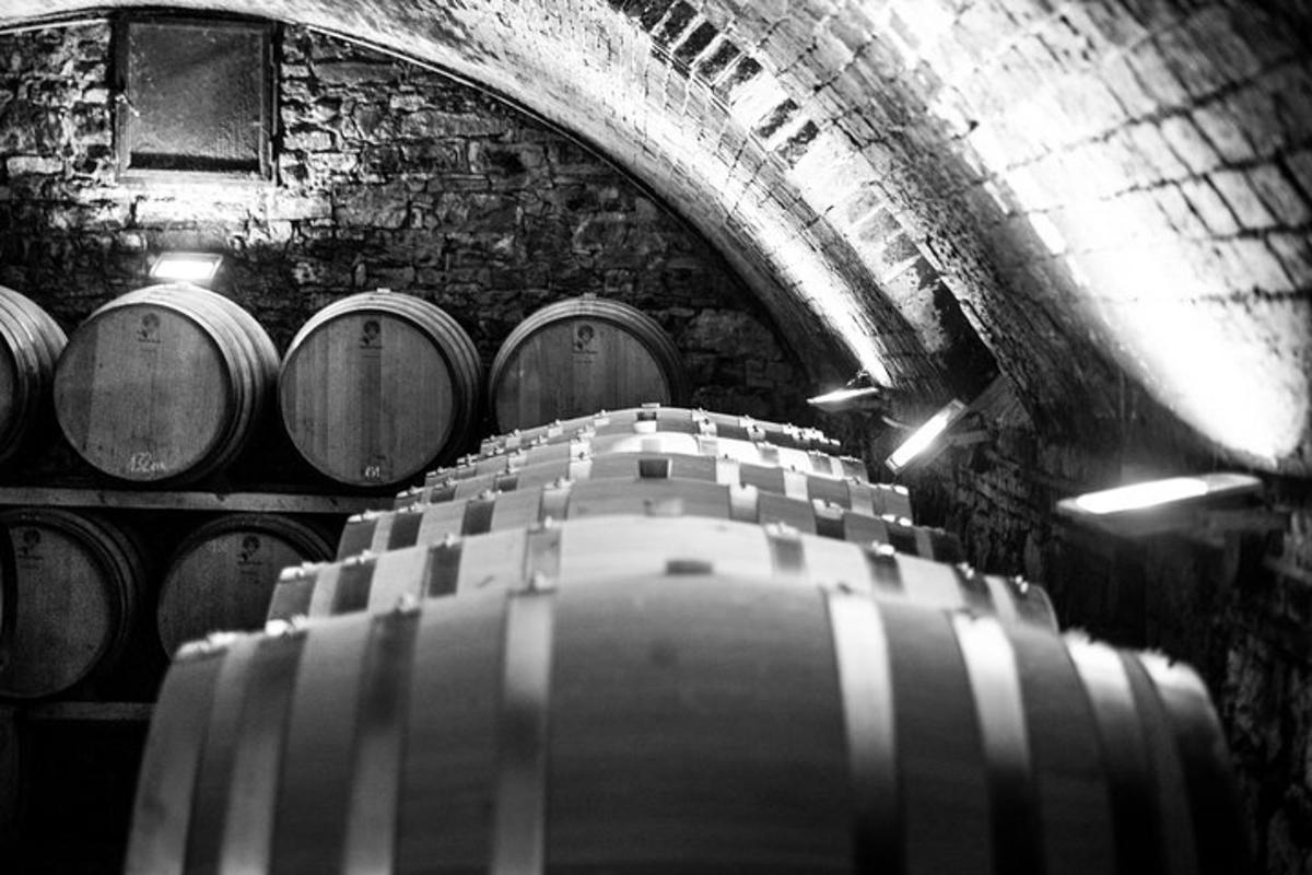 uma sala com um monte de barris em um túnel