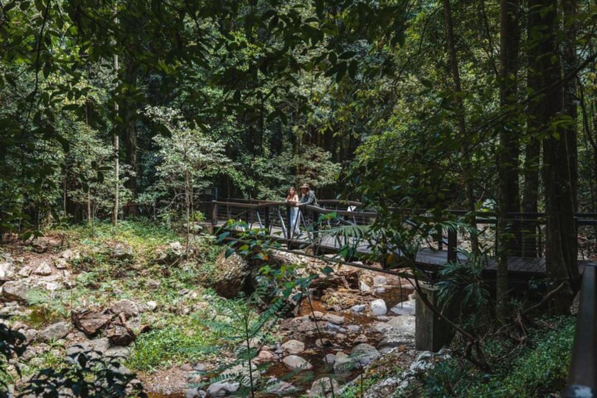 Attraction picture 6