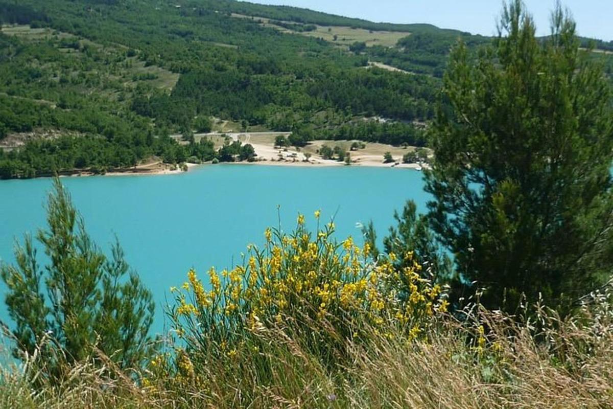 pemandangan tasik biru dengan pokok di latar belakang