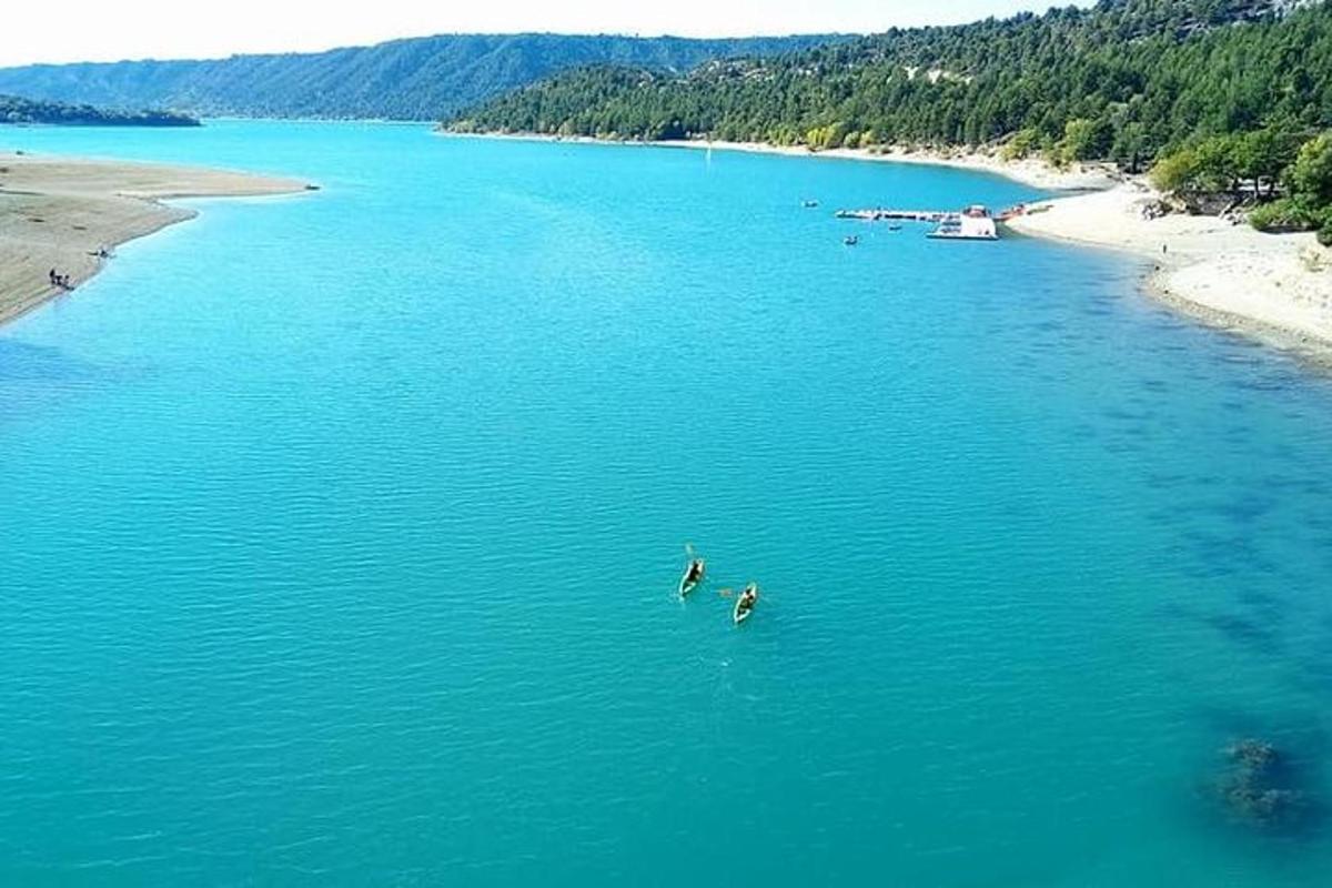 dua ekor itik berenang di dalam air berhampiran pantai
