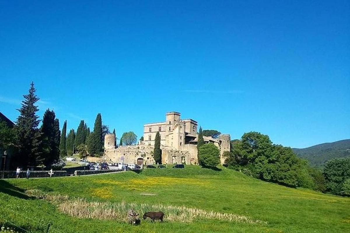 un castello su una collina con due animali in un campo