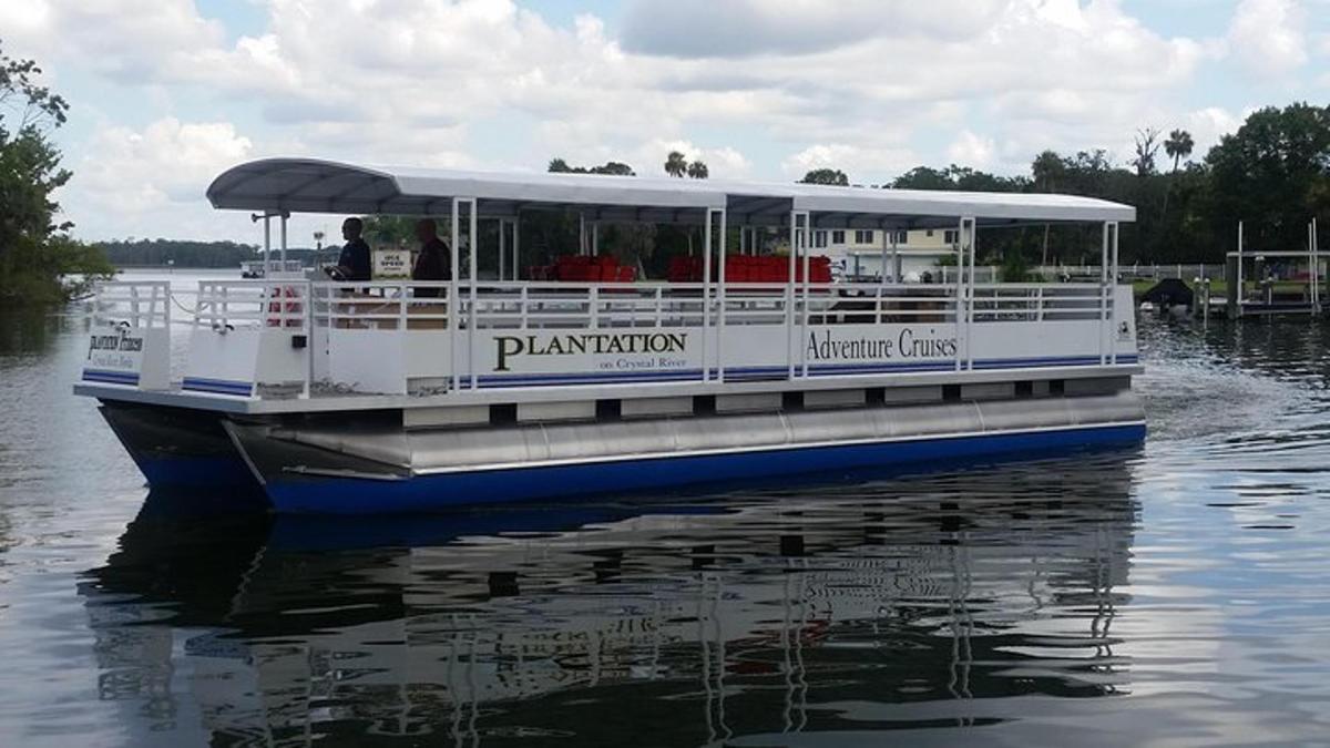a blue and white boat on the water
