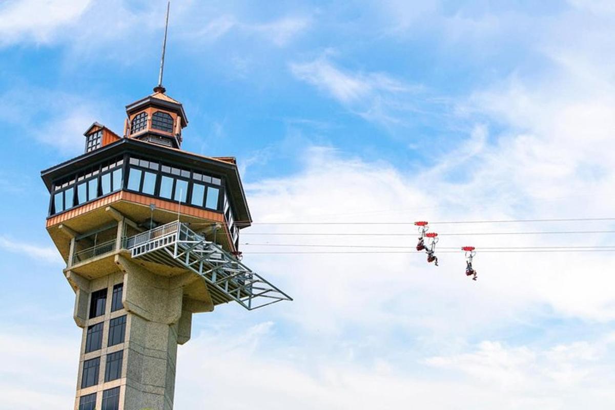 three birds are sitting on a power line next to a building