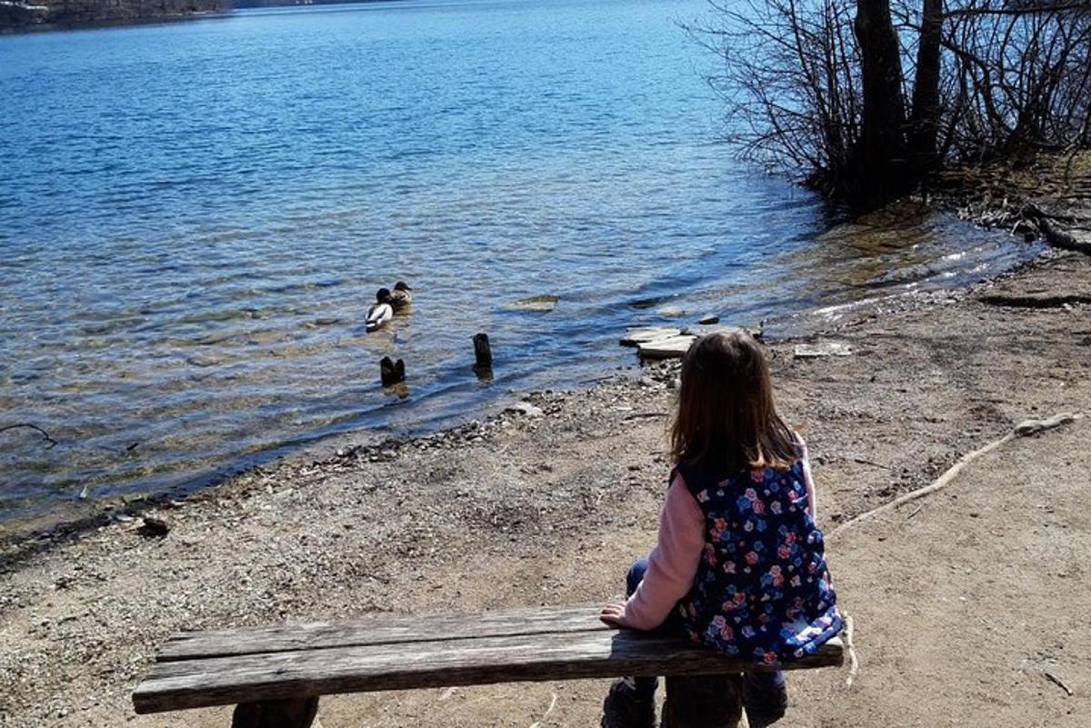 a little girl sitting on a bench watching ducks in the water