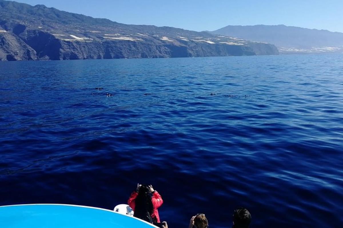 a group of people on a boat in the water