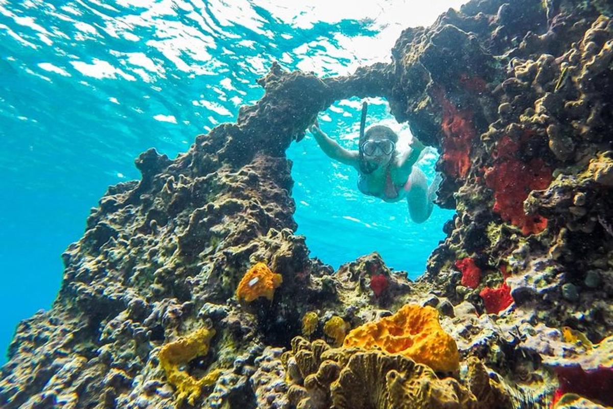 a person in the water near a coral reef