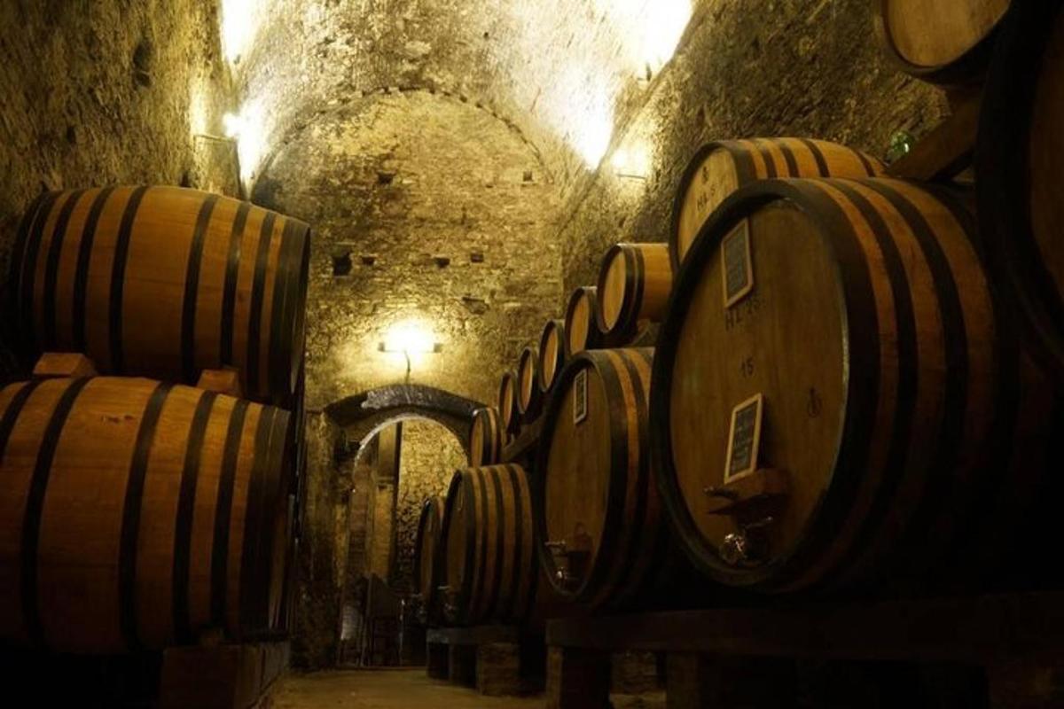 μια σειρά από βαρέλια κρασιού σε ένα παλιό κελάρι