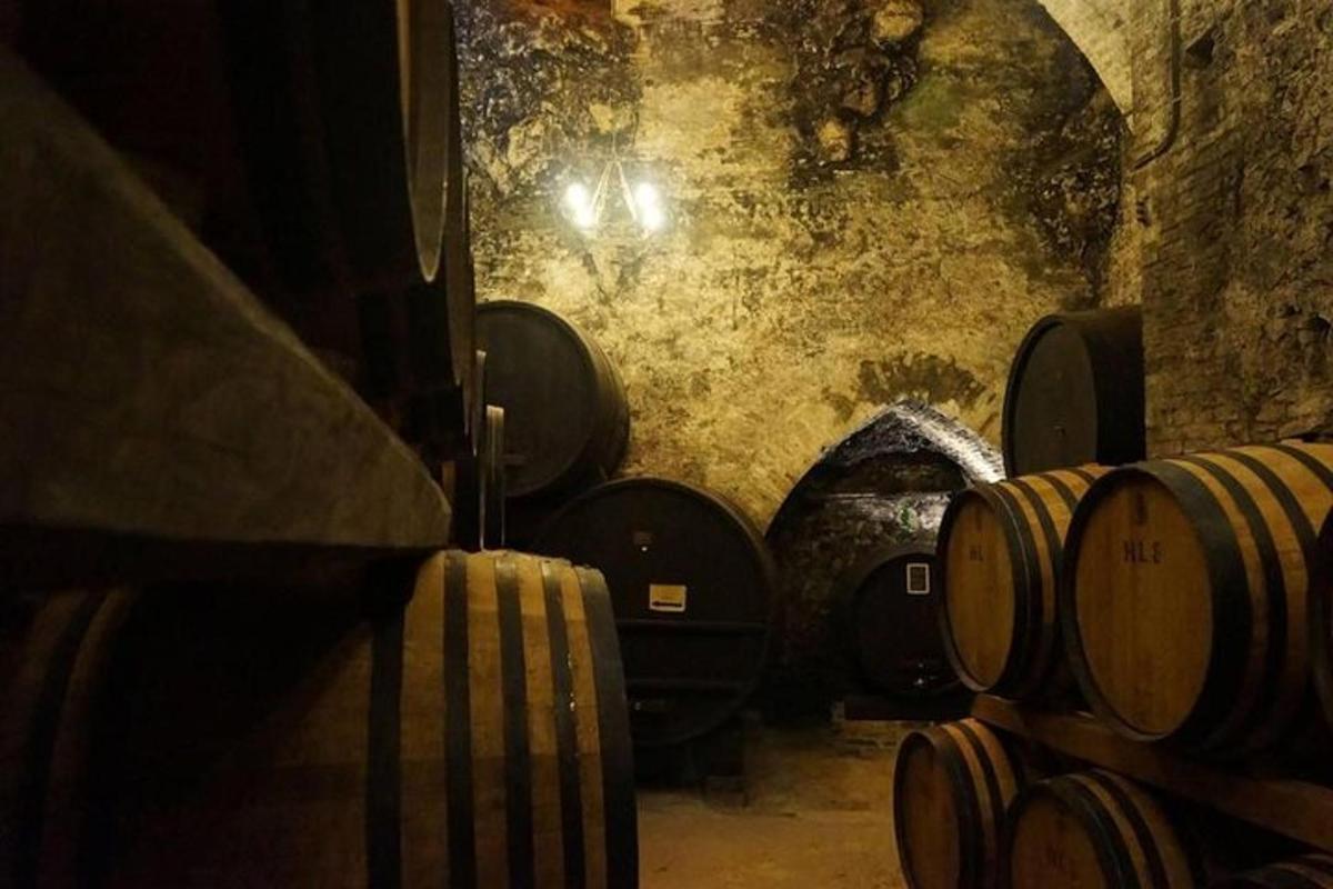 ένα δωμάτιο με ένα σωρό βαρέλια σε ένα κελάρι