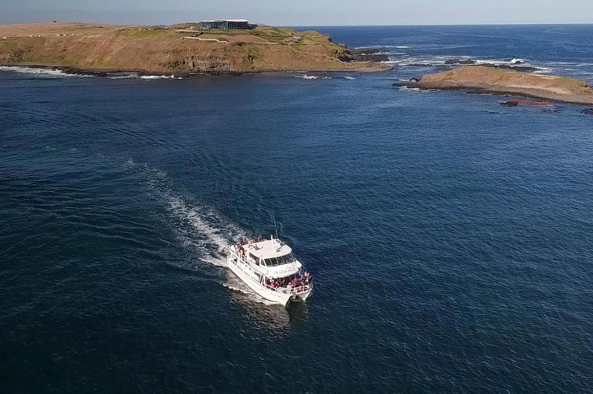 an aerial view of a boat in the water