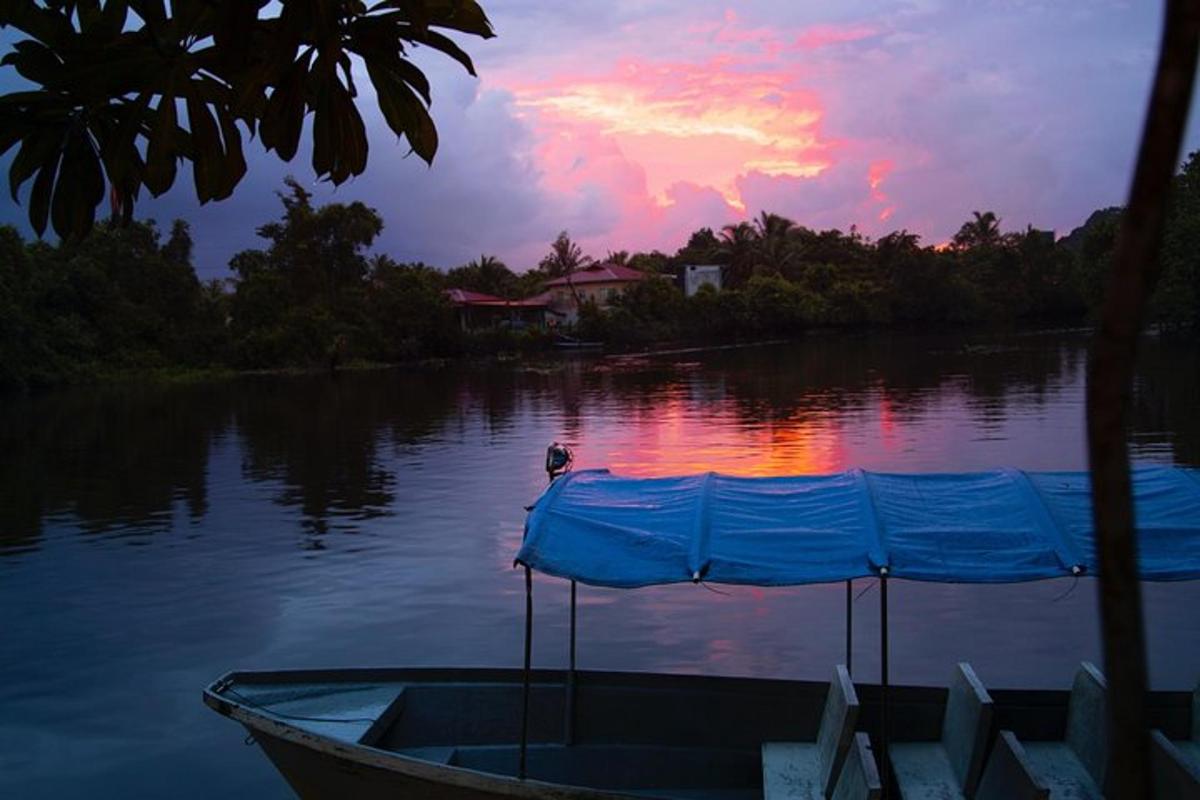 a boat on the water with a bird on the top