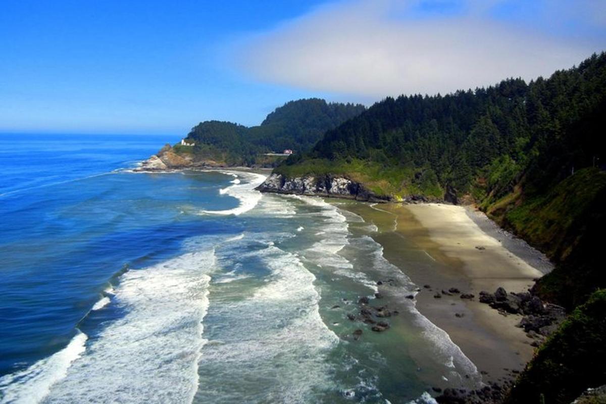 an aerial view of a beach with trees