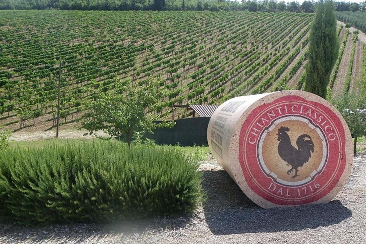 Un cartel con un pollo al lado de un campo.