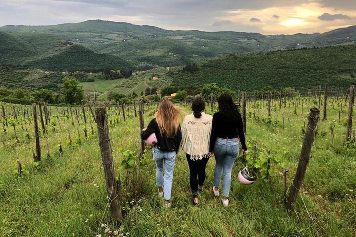 three women walking down a path through a vineyard