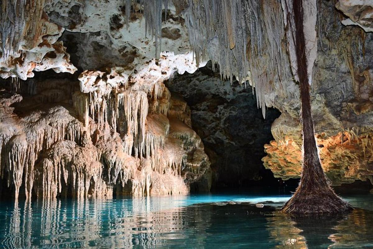 una grotta con ghiaccioli appesi al soffitto
