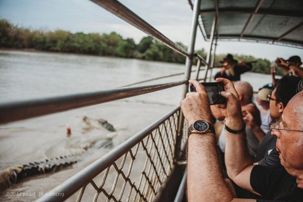 a group of people taking pictures of aebra in the water