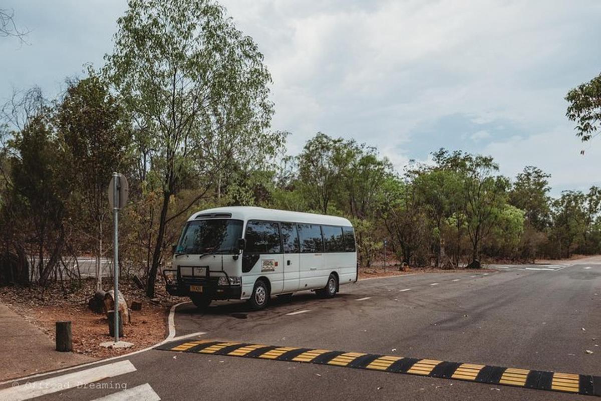 a white bus parked on the side of a road