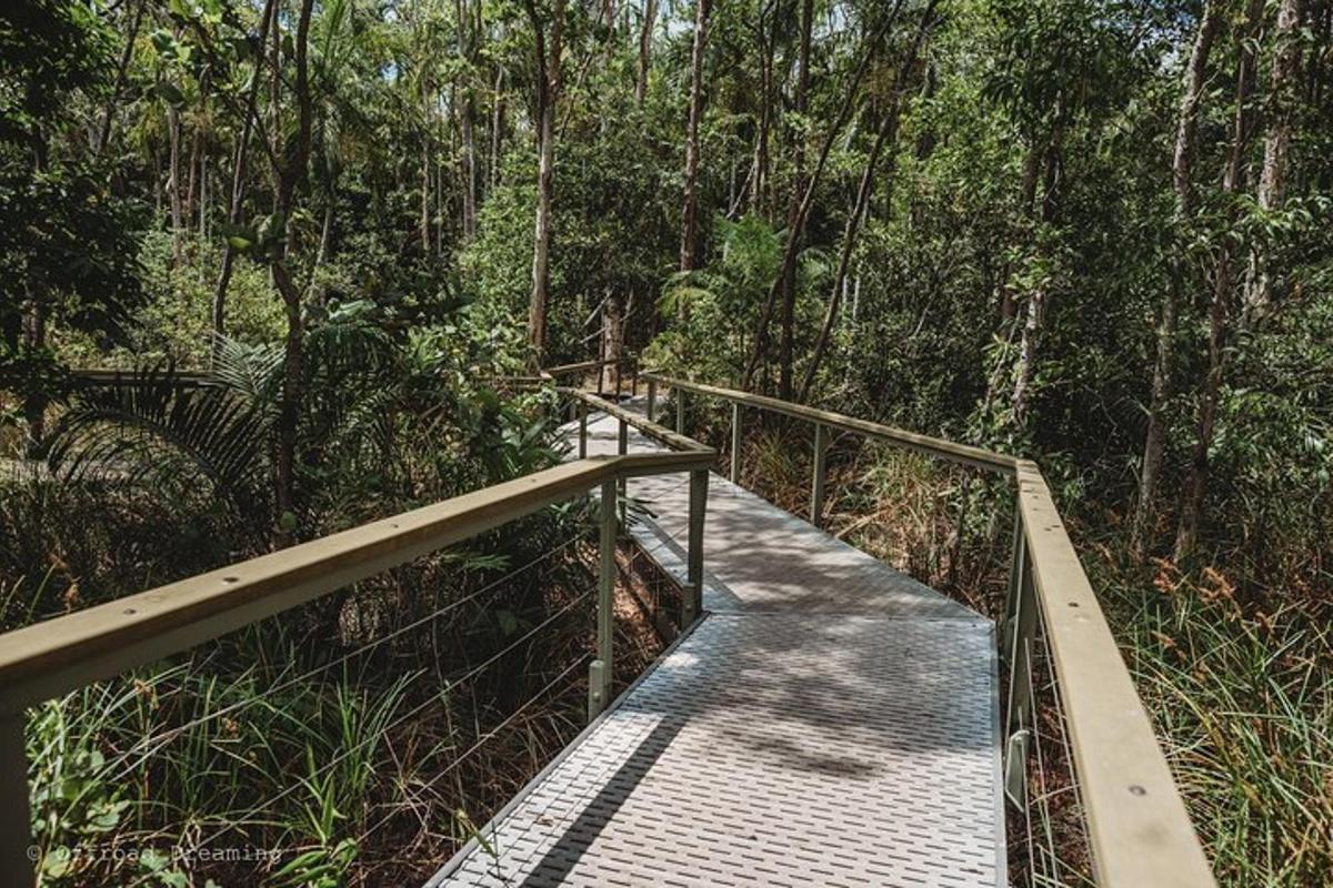 a wooden bridge in the middle of a forest