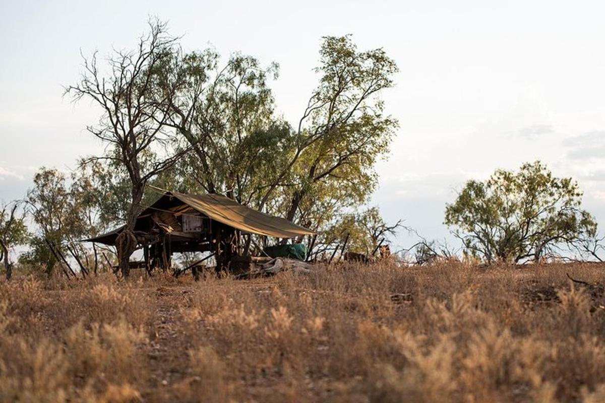 an old shack in the middle of a field
