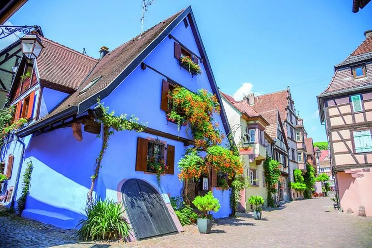 Alsace Full Day Wine Tour from Colmar – photo 2
