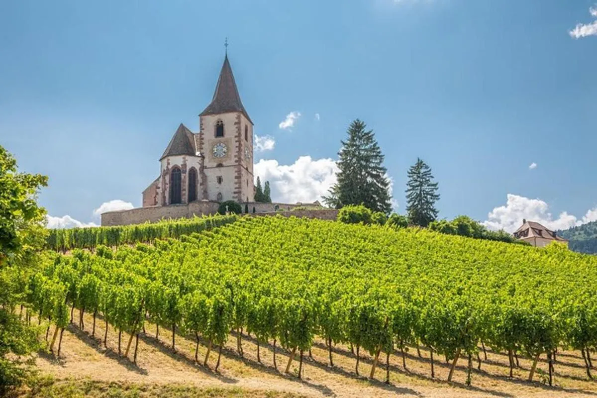 Excursion d'une journée : route des vins d'Alsace, 3 dégustations, 8 h – photo 3