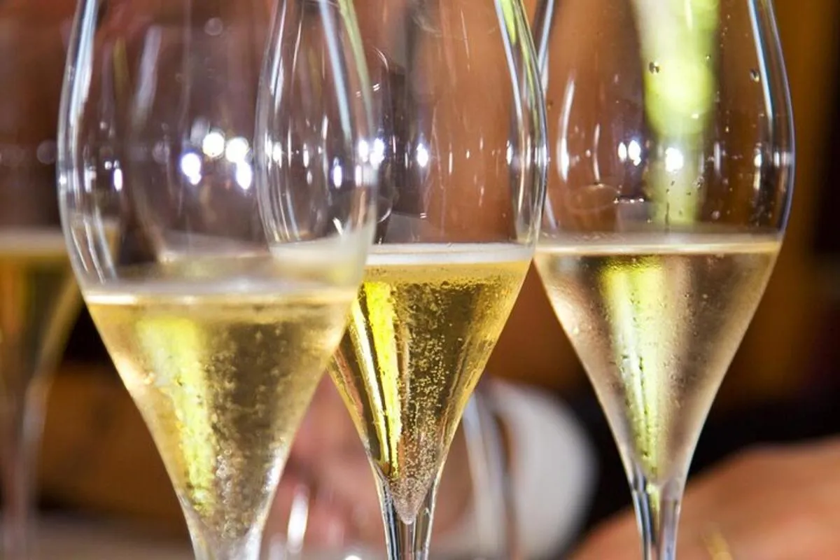 Alsace Full Day Wine Tour from Colmar – photo 7