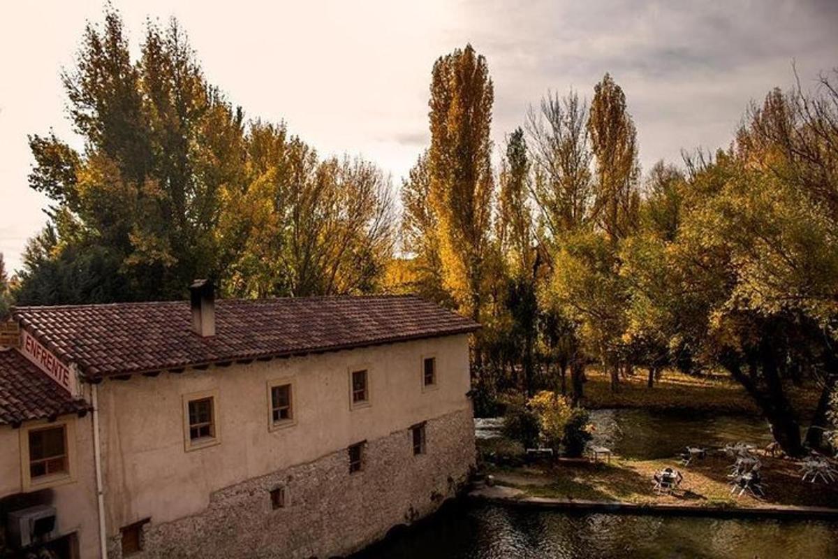 budova stojící vedle řeky se stromy