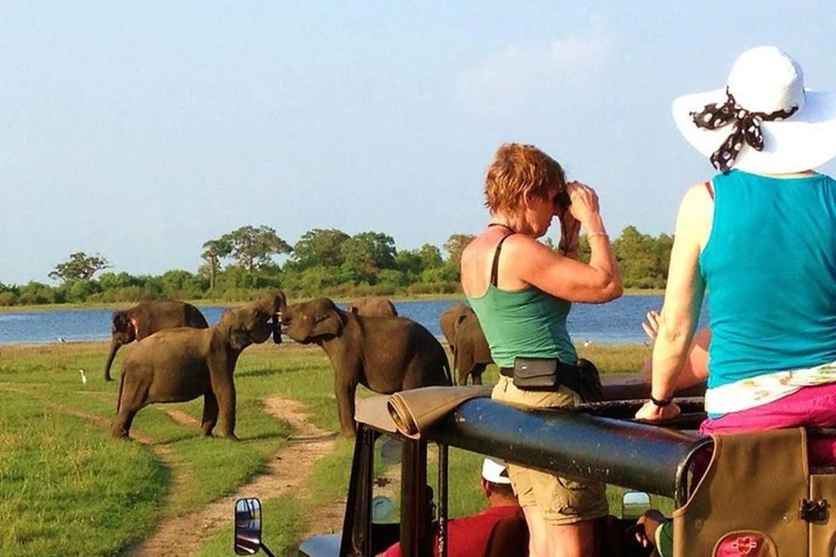 a group of people watching elephants by the water