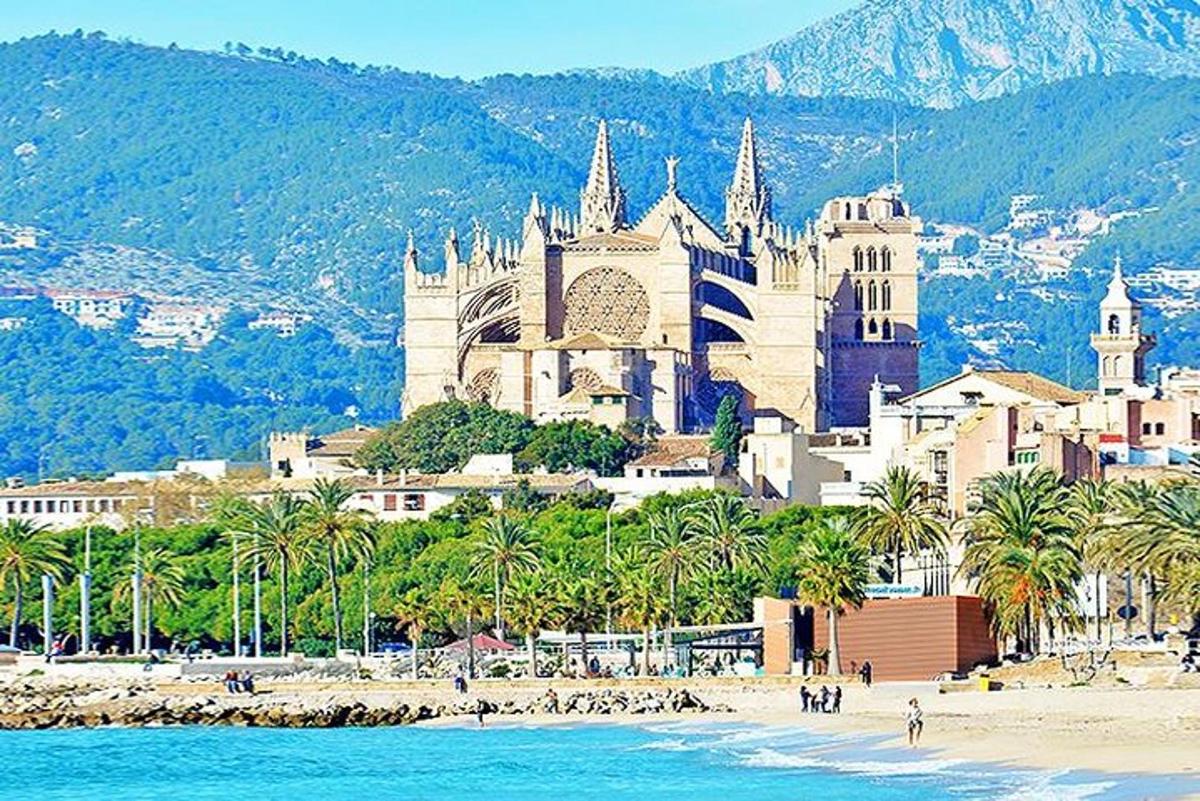 un castello su una spiaggia con palme e l'oceano