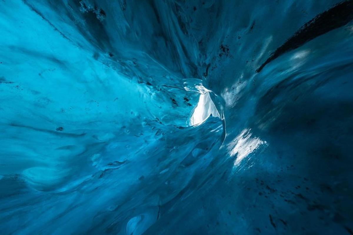 a white dolphin in the blue water