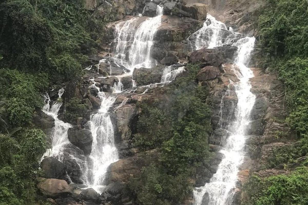 una vista aérea de una cascada en la selva