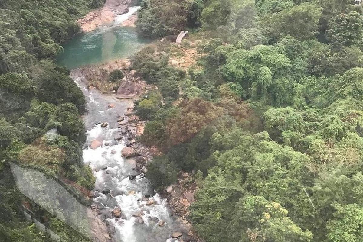 una vista aerea di un fiume in una foresta