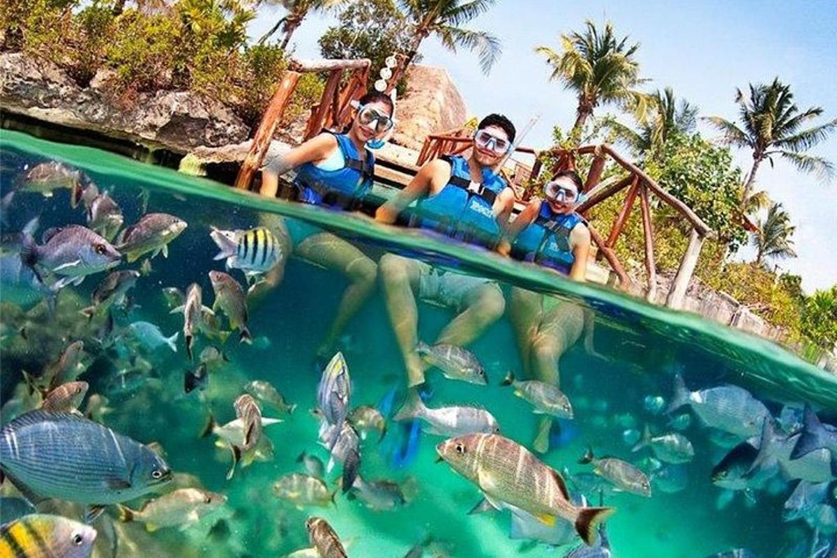 Attraction picture 6