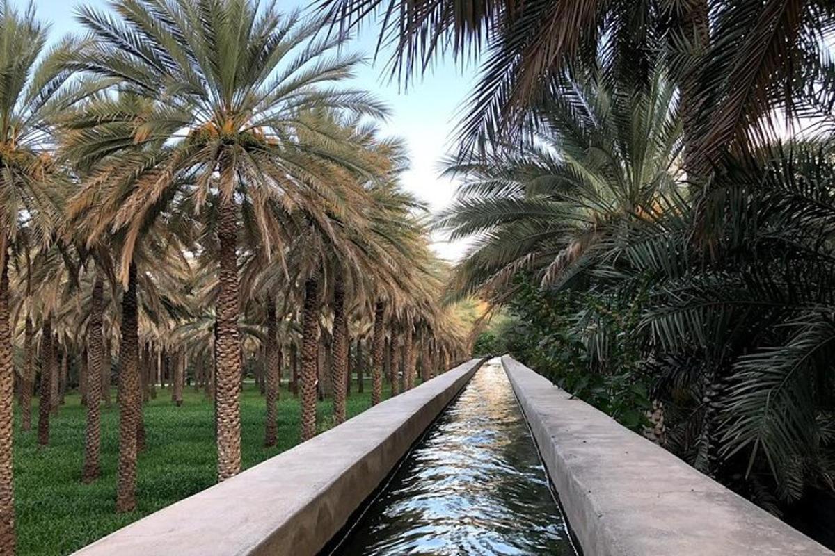 a bridge over a river with palm trees