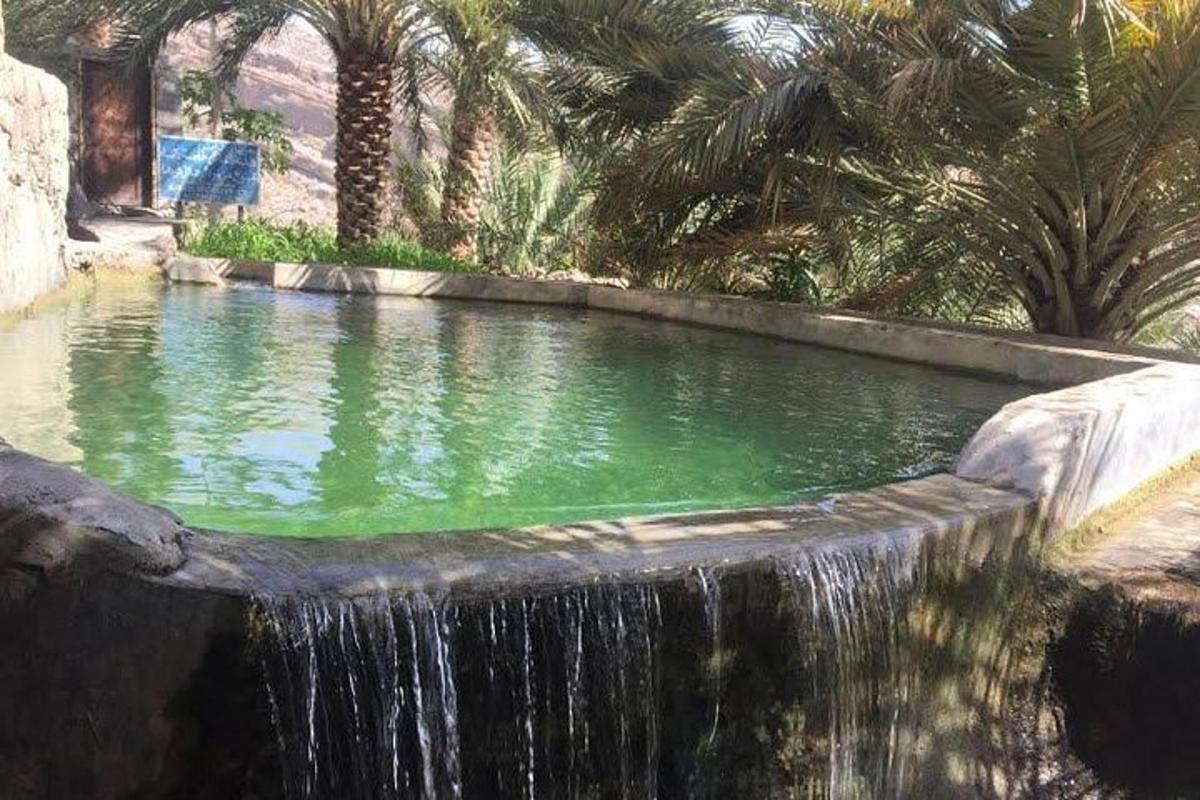 a swimming pool with a waterfall in a garden