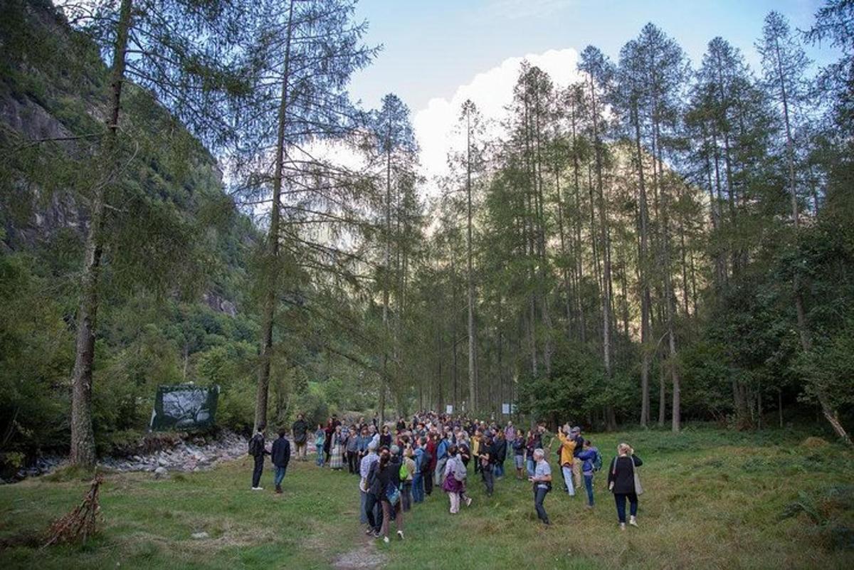 egy nagy csoport ember sétál át az erdőn