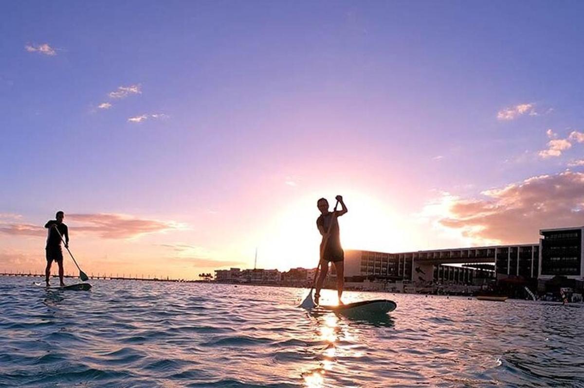 two people are on paddle boards in the water