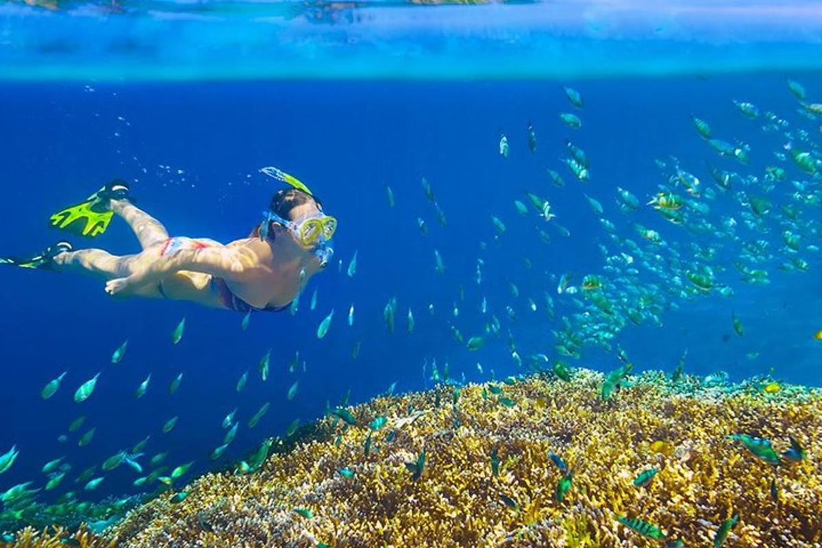 một người phụ nữ đang bơi trong đại dương với một đàn cá