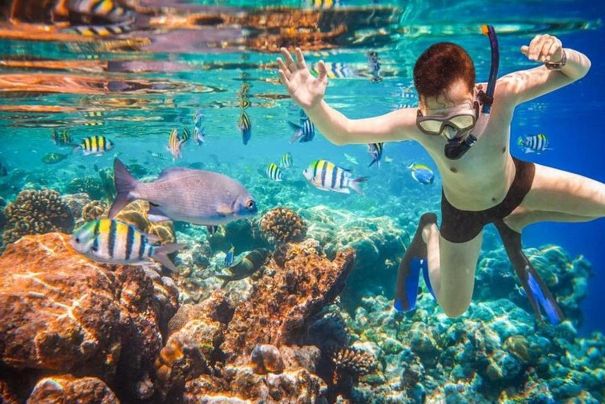 una donna nell'oceano che guarda i pesci