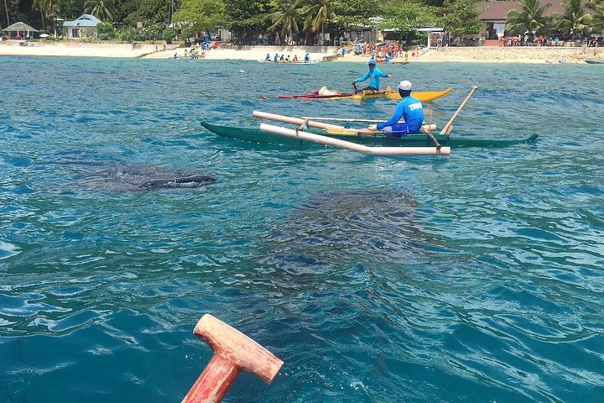 dua orang berkayak di dalam air berhampiran pantai