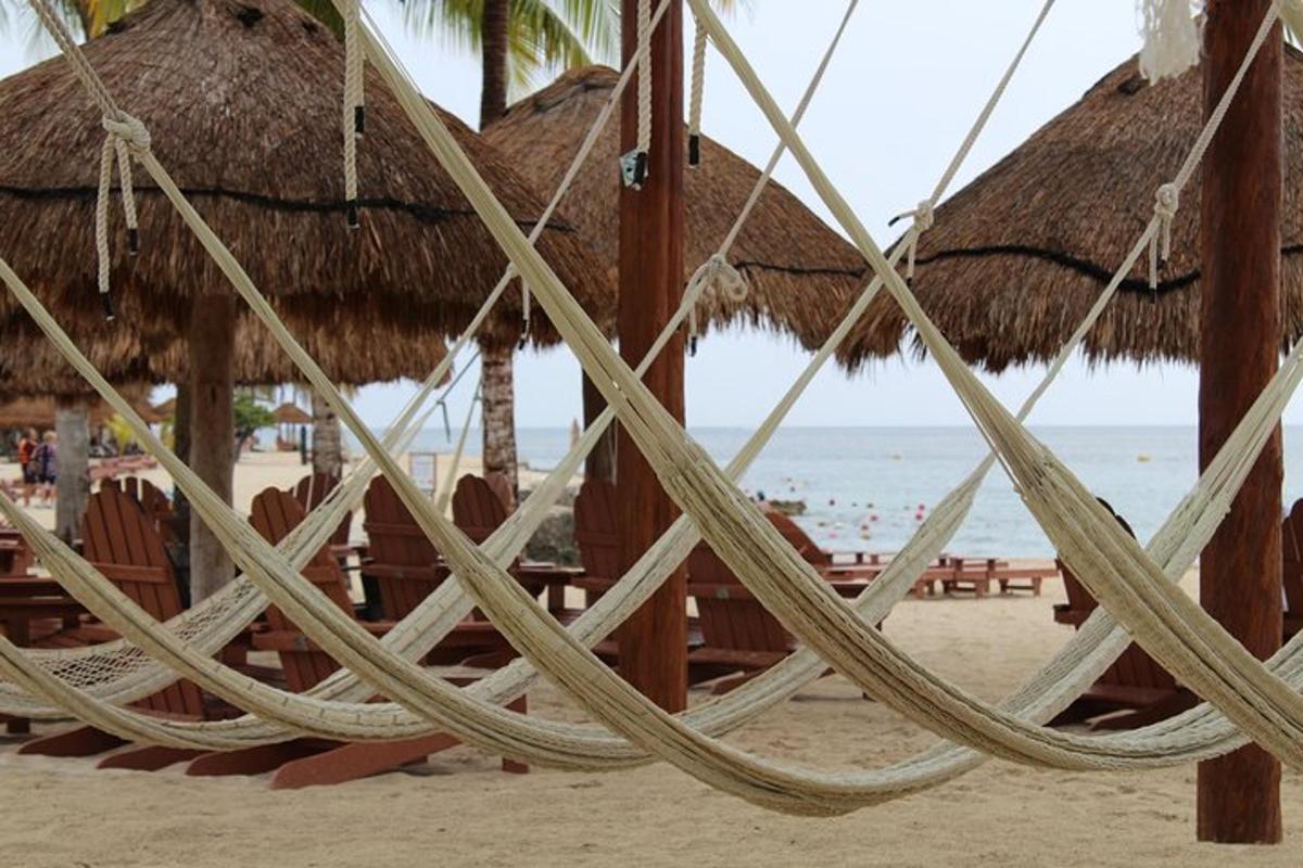 skupina slamnatih senčnikov in stolov na plaži