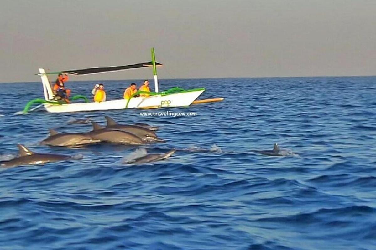 un gruppo di persone su una barca in acqua
