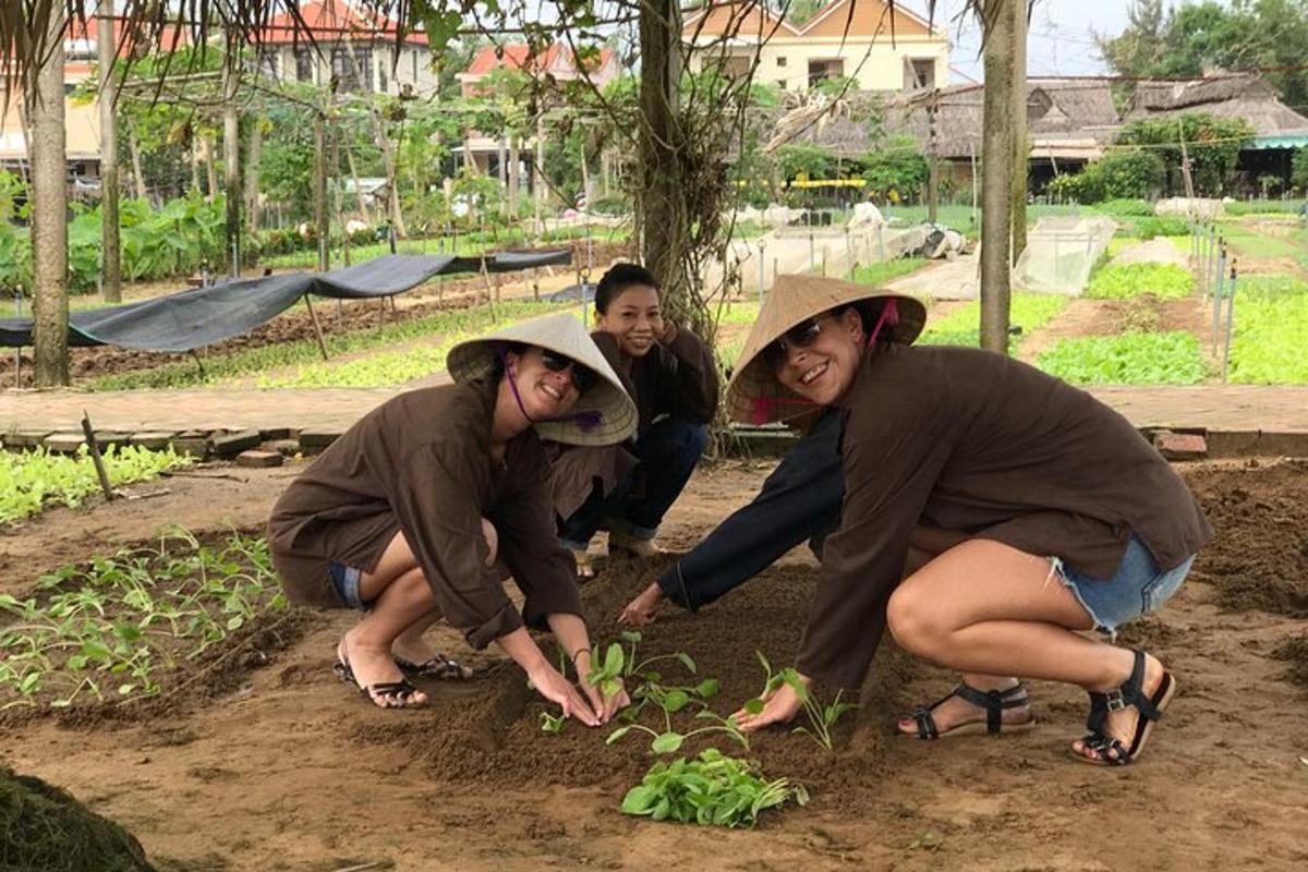 a group of people planting plants in a garden