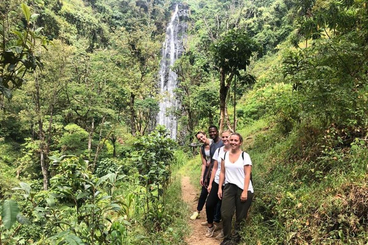 sekumpulan orang berjalan menyusuri denai di hadapan air terjun