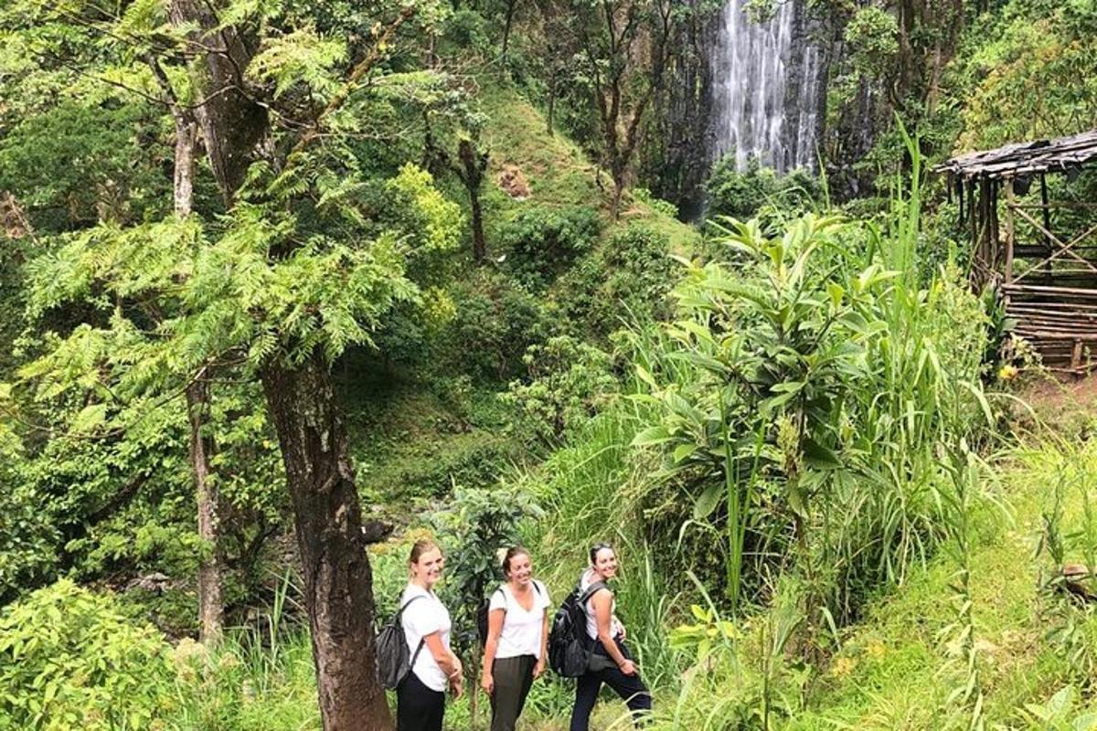 tiga orang berjalan di dalam hutan dengan air terjun di latar belakang