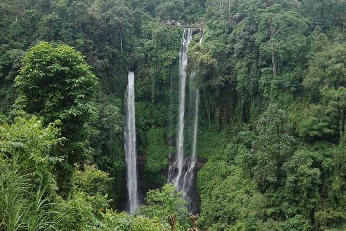 ein Wasserfall mitten im Wald