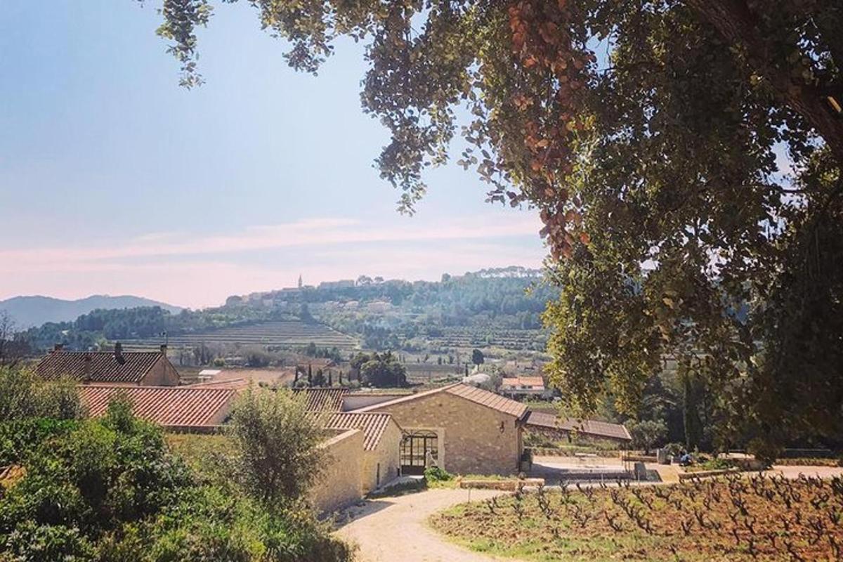 a view of a village with buildings and trees
