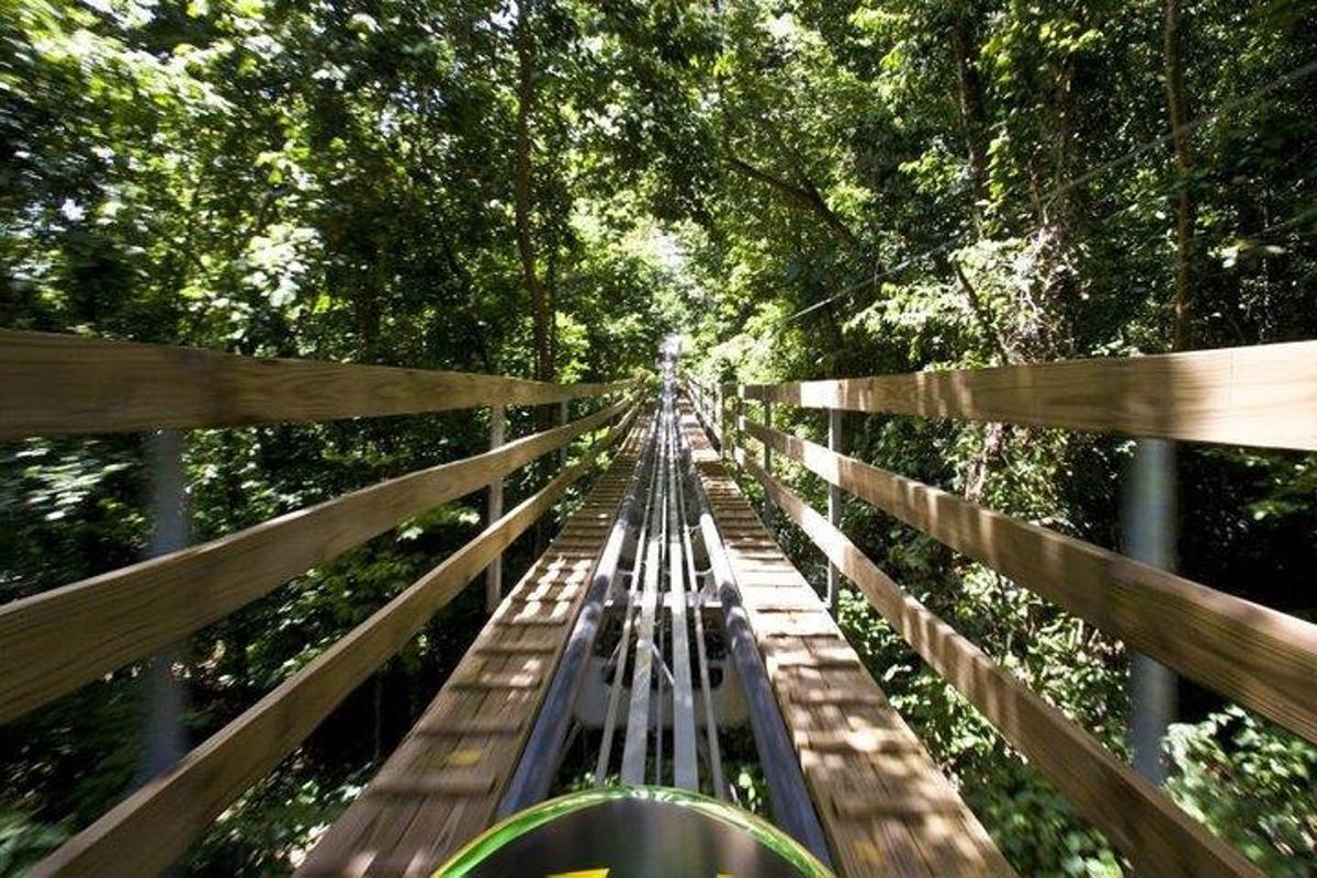 bangku kayu di tengah hutan
