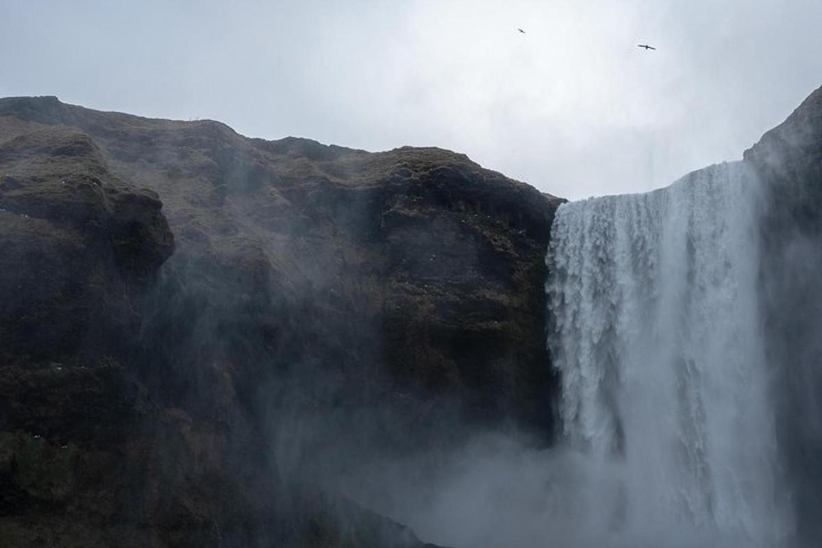 a bird flying over a waterfall on a mountain