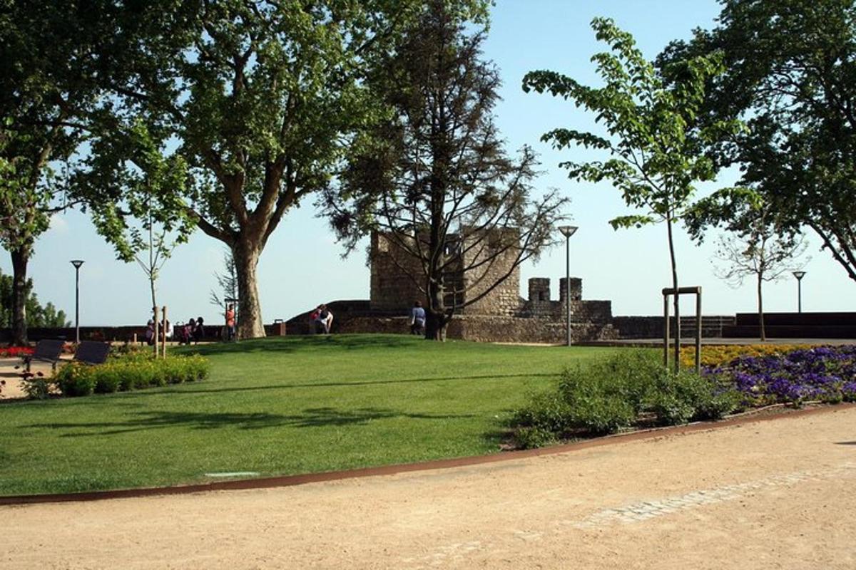 a park with trees and flowers and a playground